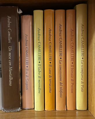 Libri Andrea Camilleri