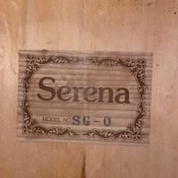 Chitarra classica serena