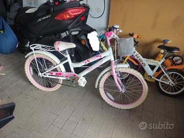 coppia di bici