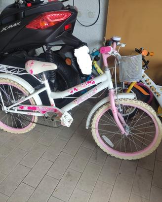 coppia di bici
