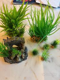 Piante acquario con Arco Romano