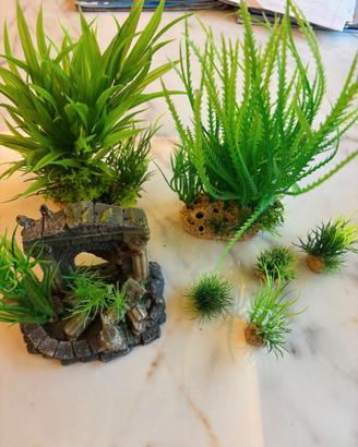 Piante acquario con Arco Romano