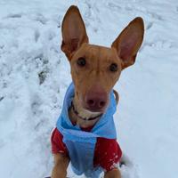 Valerio aspetta una famiglia