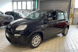 FIAT Panda 1.0 firefly hybrid s&s 70cv