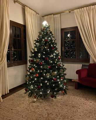 Albero di Natale