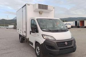 FIAT DUCATO MAXI CELLA ISOTERMICA FRIGO