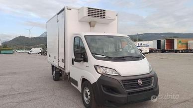 FIAT DUCATO MAXI CELLA ISOTERMICA FRIGO
