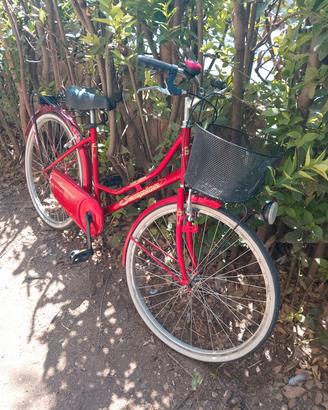 Bicicletta 
