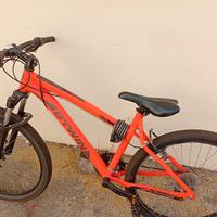 Mountain bike 