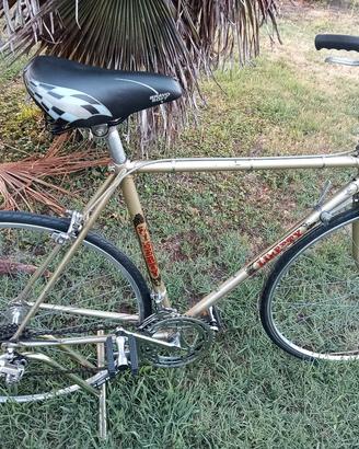 bicicletta da uomo 