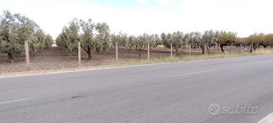 Terreno fronte strada
