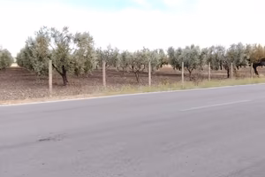 Terreno fronte strada