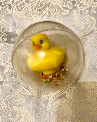 Duck papera doccia
