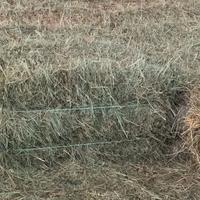 Ballette di fieno di prato stabile di primo taglio