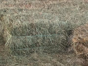 Ballette di fieno di prato stabile di primo taglio