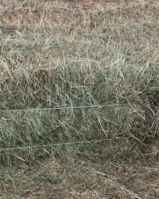 Ballette di fieno di prato stabile di primo taglio