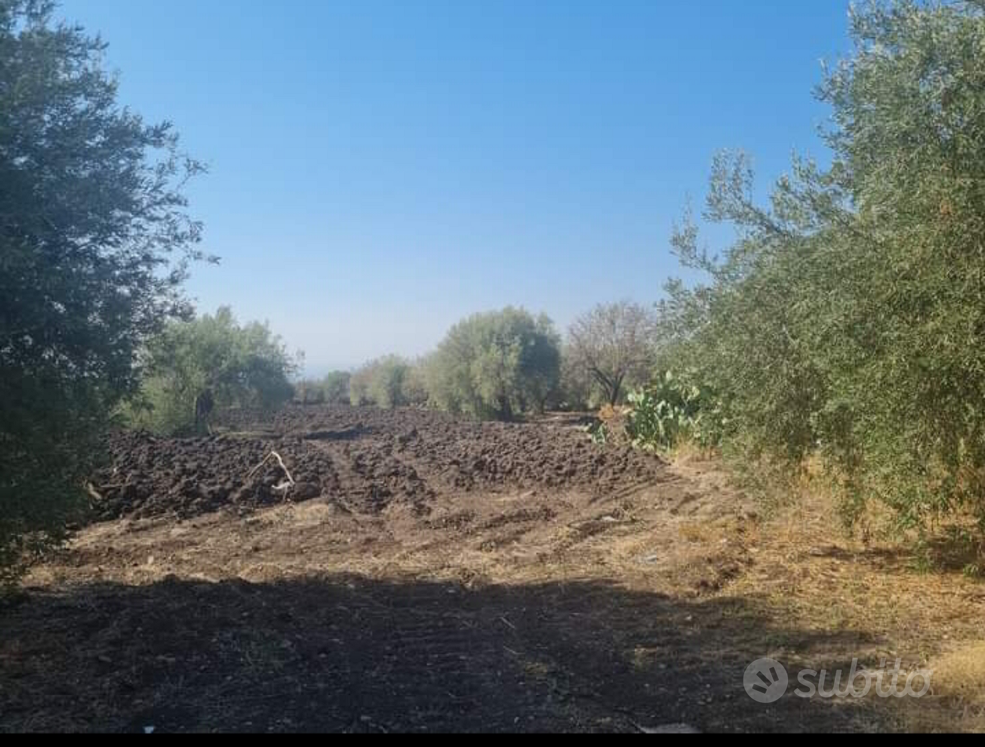 1 Terreno con Casetta - Vista 4