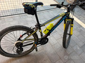 Mtb Torpado 24’’