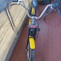 bicicletta saltafossi Dingo 