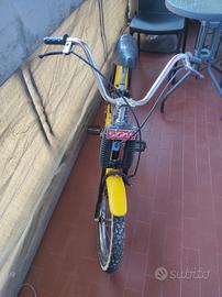 bicicletta saltafossi Dingo 