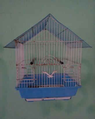  gabbia per uccelli 