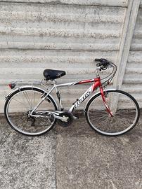City bike uomo
