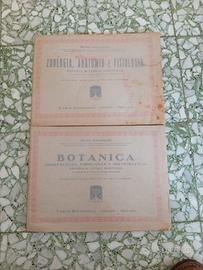 Tavole sinottiche 1930