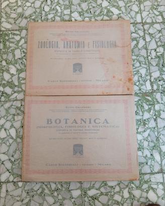Tavole sinottiche 1930