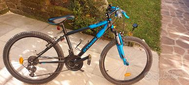 bici mtb bambino