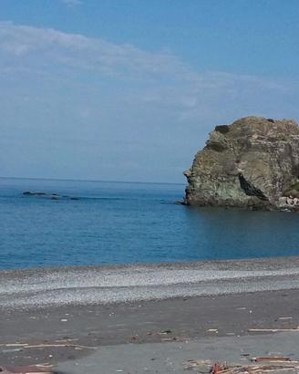 Appartamento 4/6 posti letto a 200 metri dal mare