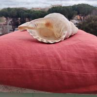 Conchiglia sonora grande 5 note