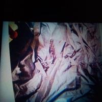 PROTYPE BORSA PORTA BICI PIEGHEVOLE ELETTRICA