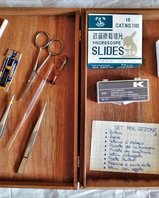 Set per sezionare - bisturi vetrini