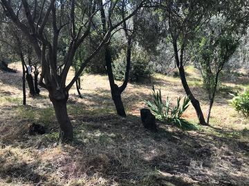 Quartu, loc. Niu Crobu, terreno edificabile