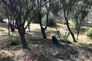 Quartu, loc. Niu Crobu, terreno edificabile