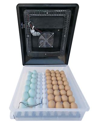 Incubatrice automatica EM60 per 60 uova di gallina
