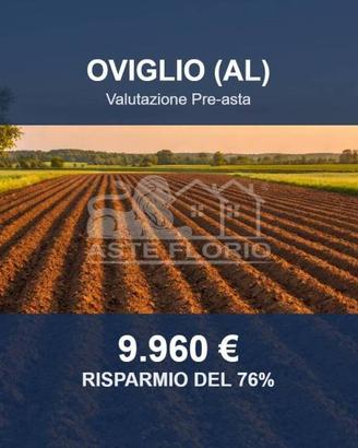 Immobile in asta di 2816 m² a Oviglio