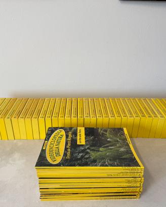 VIDEOENCICLOPEDIA DELLA NATURA COLLEZIONE COMPLETA