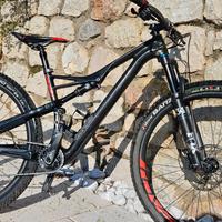 Specialized FSR Camber Carbonio