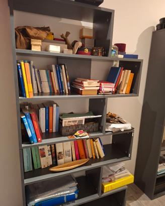 Libreria doppia nuova