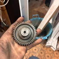 rapposti malossi e polini minarelli