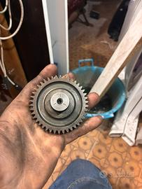 rapposti malossi e polini minarelli