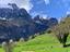 Immagine 6