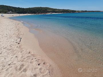 Trinità d'agultu bilocale a prezzi Ok