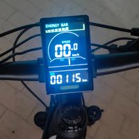 MTB elettrica 