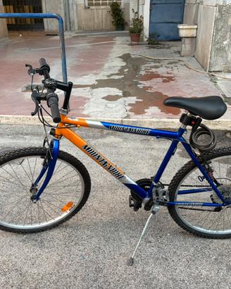 Mountain Bike 26
