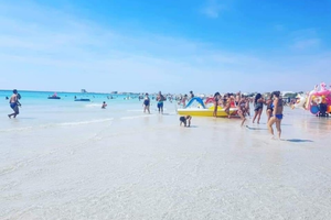 Appartamenti il "Veliero"