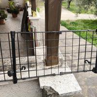 barriera auto per cani