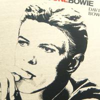 DAVID BOWIE Vintage SPECCHIO anni '80 collezione