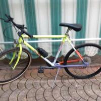 Mountain bike